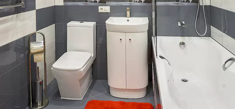 Hansgrohe Shaving Mirror Palm Desert